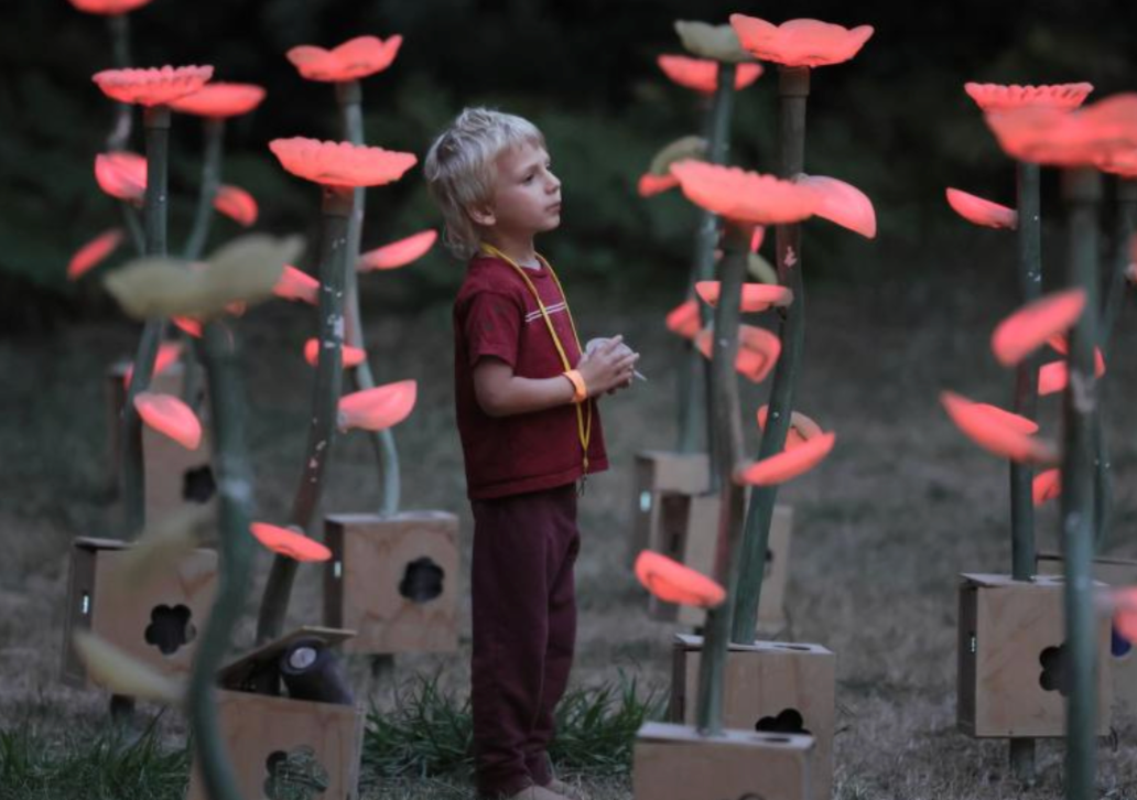 DWeb Camp is a place to be awed by the beauty of the world - both in art and nature.
